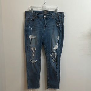 Torrid Jeans